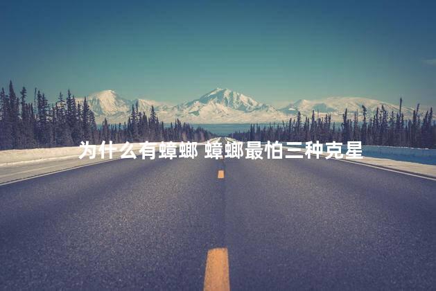 为什么有蟑螂 蟑螂最怕三种克星
